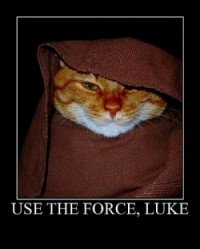 Use-The-Force.jpg
