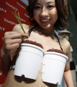 my_tanbo_bra01.jpg