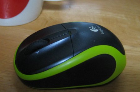 waiyareru_mouse0910.JPG