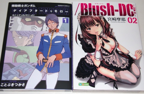 kaishiden_blush2_1011.jpg